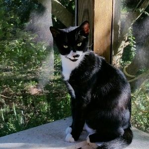 Meet your Posher, Nancy